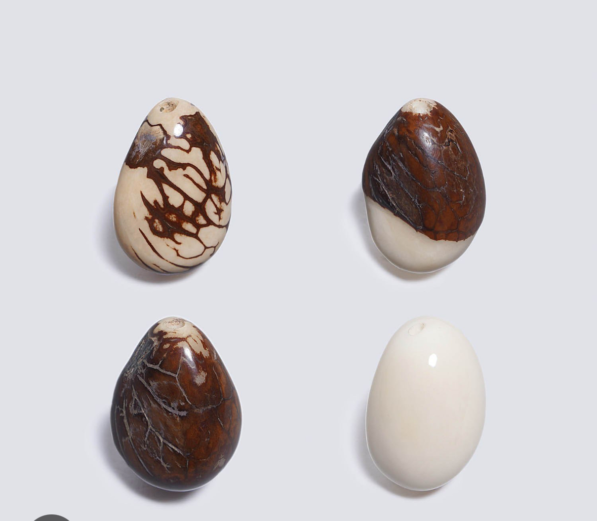 Raw tagua seeds