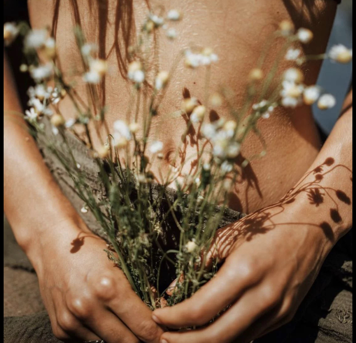 Hands gently holding white wildflowers against warm skin, symbolizing re-rooting in the body