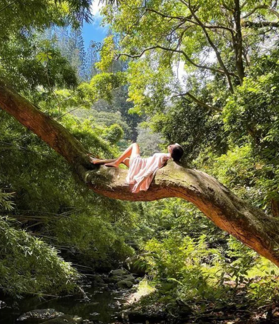 Woman in a flowing pink dress resting on a large mossy tree branch above a forest stream, breathing with the spiral of nature